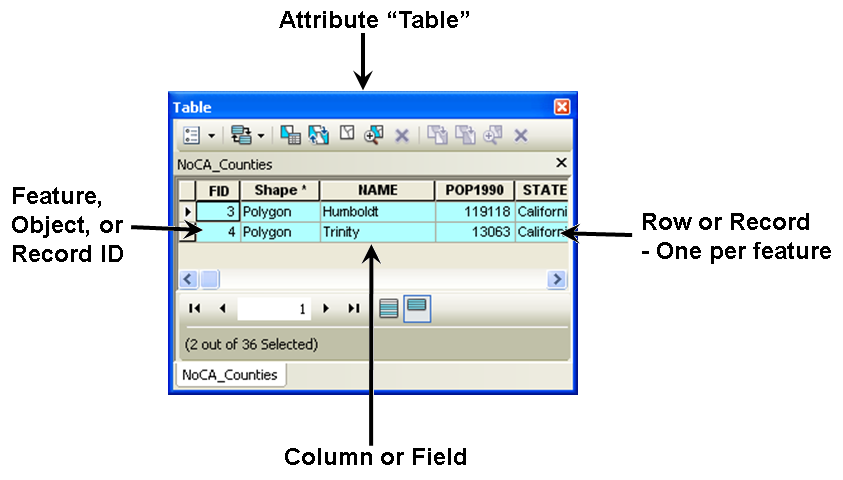 Attribute Table Terminology